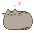 sleepy_pusheen