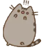 shock_pusheen