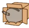 hide_pusheen