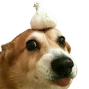 garlicdog