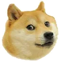 Doge