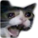 sad6
