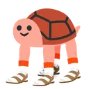 turtleshoes