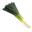 leek leek