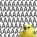 AAAAAAAAAAAAAAAA