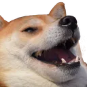 pupper