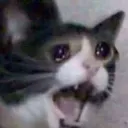 help