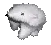 e49