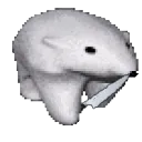 b5a