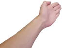 boi
