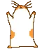 hamdance3