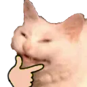 kisuthink