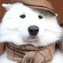 puffo