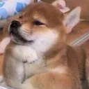 thinko