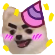 HecticBirthday