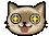 CatShine