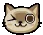 CatWink
