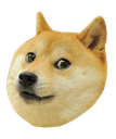Doge2