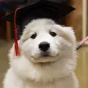 smarto smarto