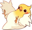 birdhappy