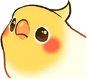 birdfrown birdfrown