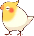 birdturn birdturn
