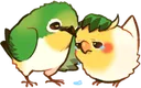 birdpat