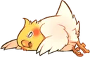 birdtired