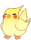 birdconga2