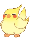 birdconga3