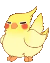 birdconga4