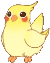 birdconga6