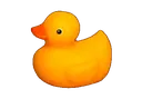 ducky