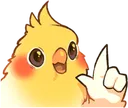 birdpoint