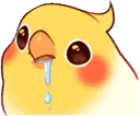 birddrool
