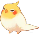 birdsmol birdsmol