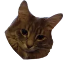 tater
