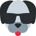 coolo