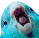 BORB