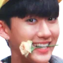 changbinflower Discord Emoji