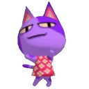 bob bob