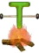 t3