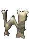 w6