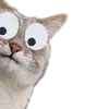 wagEyes