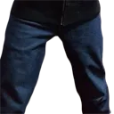 legs