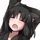 shiki_cat
