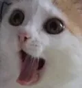 happybanana