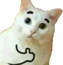 kittythumbsup