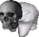 skullbear skullbear