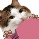 sleepkat